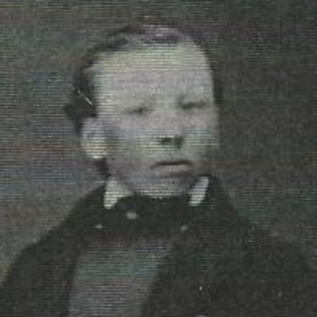 Andrew Andersen (1853 - 1916) Profile